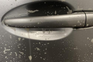 Porte arriere gauche MAZDA 2 2