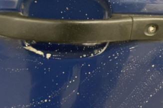 Porte avant gauche FORD FUSION