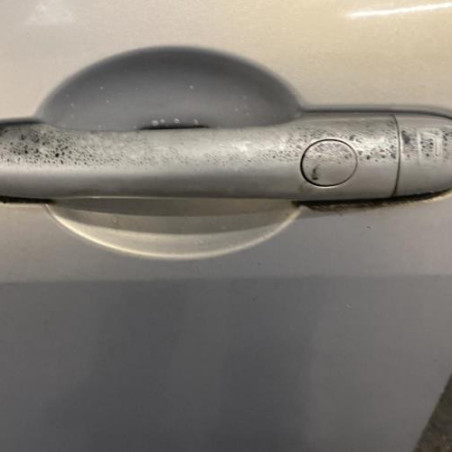 Porte avant gauche RENAULT MEGANE 2