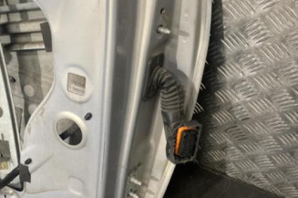 Porte avant gauche RENAULT MEGANE 2