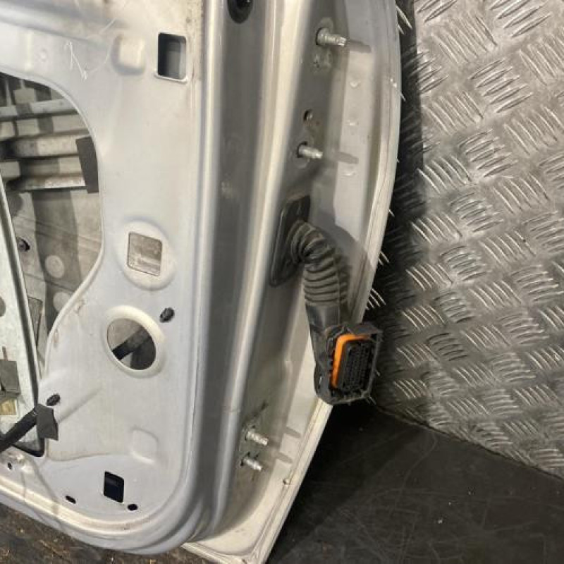 Porte avant gauche RENAULT MEGANE 2 Photo n°6