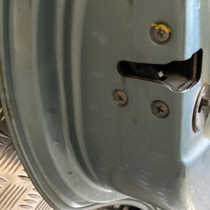 Porte arriere gauche NISSAN ALMERA TINO Photo n°4