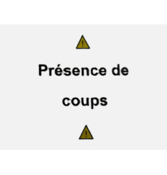 Porte arriere droit TOYOTA PRIUS 2