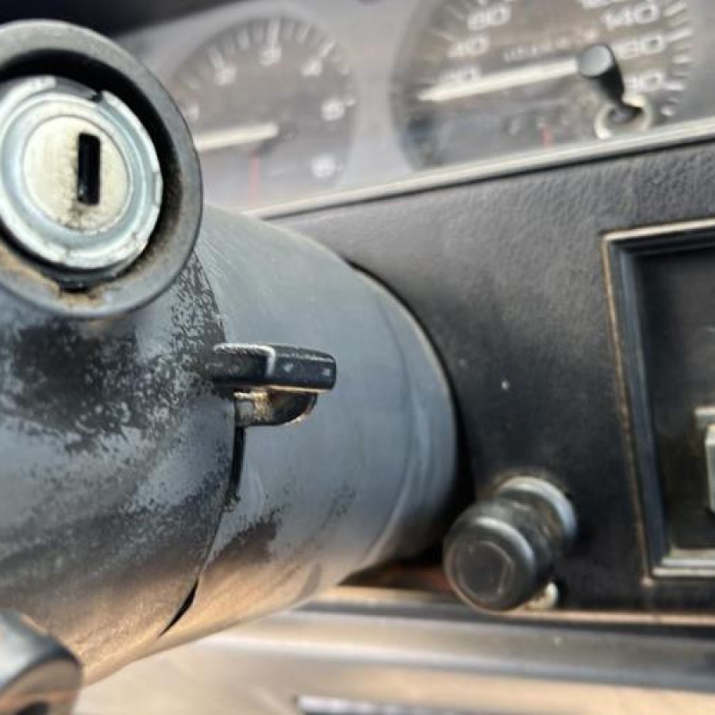 Porte arriere droit JEEP CHEROKEE Photo n°16