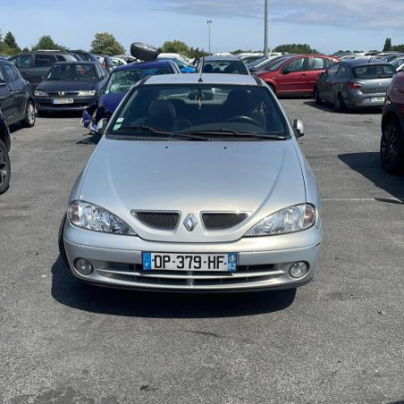Malle/Hayon arriere RENAULT MEGANE 1 Photo n°1