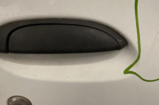 Porte avant droit RENAULT CLIO 2