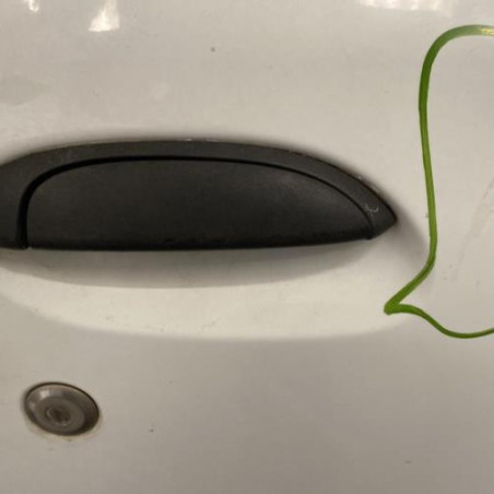 Porte avant droit RENAULT CLIO 2