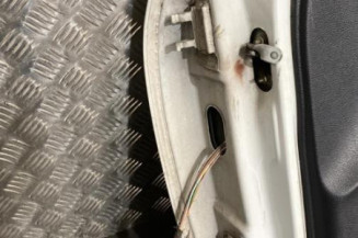 Porte avant droit RENAULT CLIO 2