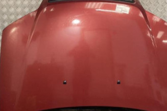 Capot FIAT PUNTO 2 Photo n°1