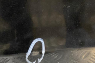 Porte arriere gauche OPEL CORSA C