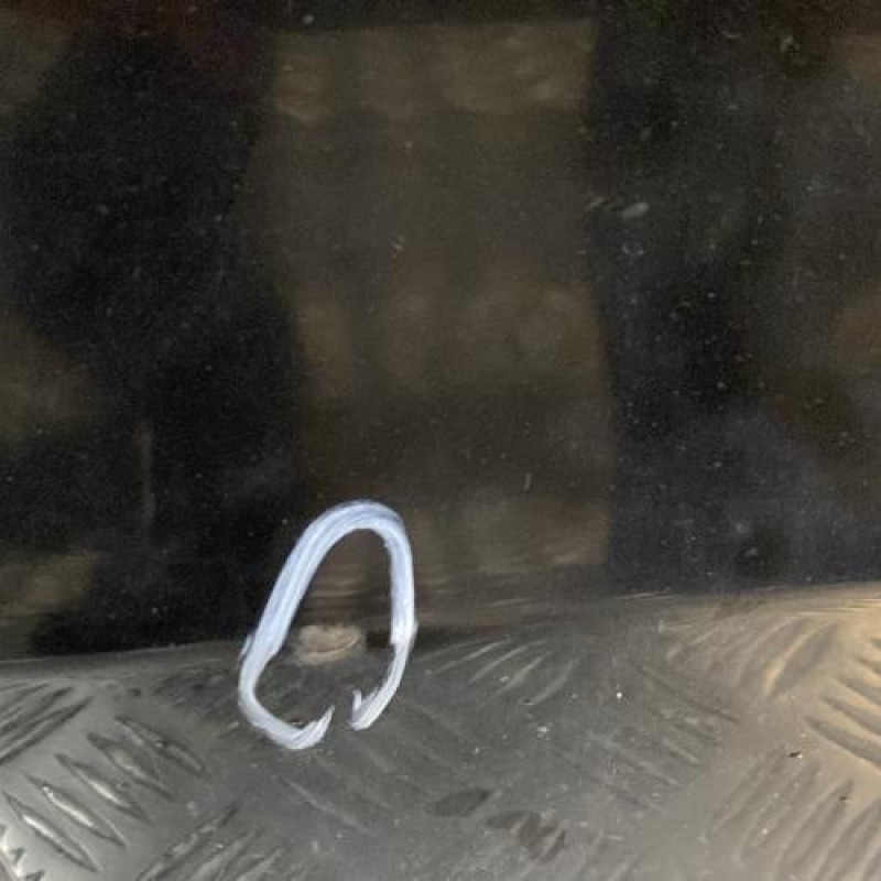 Porte arriere gauche OPEL CORSA C Photo n°4