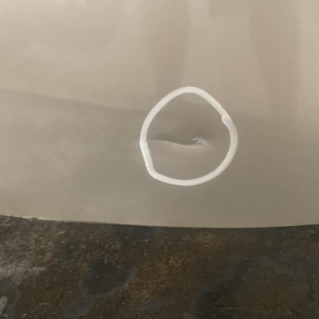 Porte arriere gauche RENAULT CLIO 3