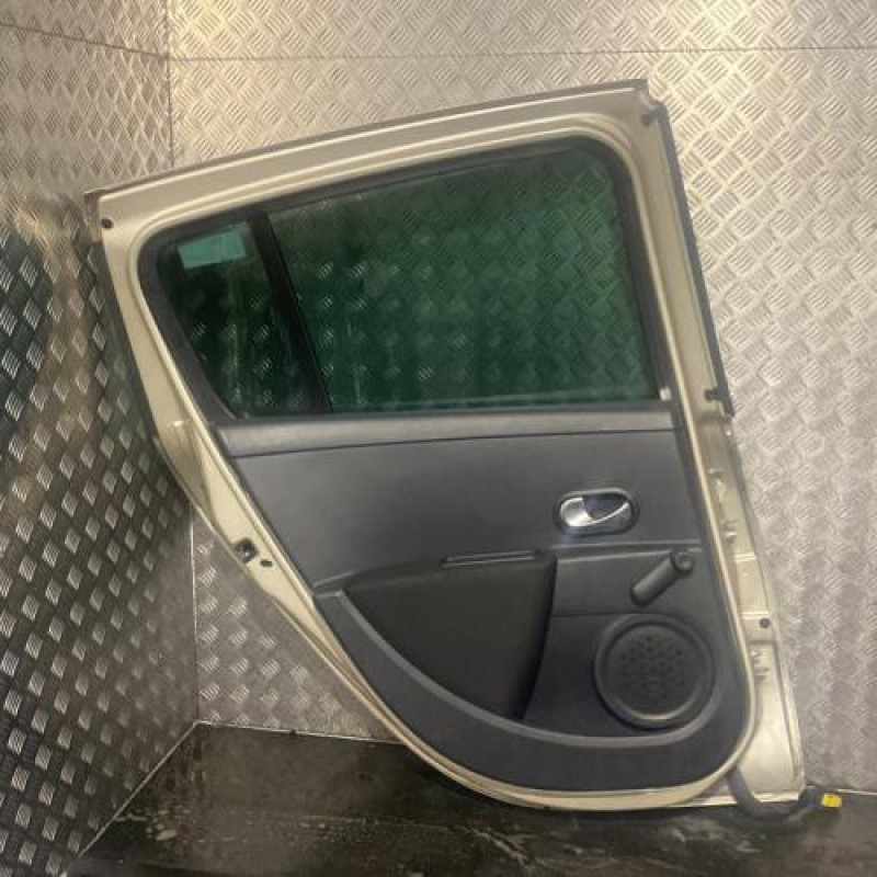 Porte arriere gauche RENAULT CLIO 3 Photo n°4