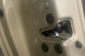 Porte arriere gauche RENAULT CLIO 3