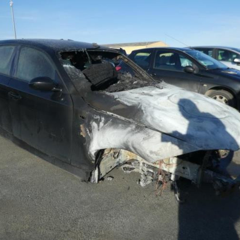 Porte arriere gauche BMW SERIE 1 E87 Photo n°9