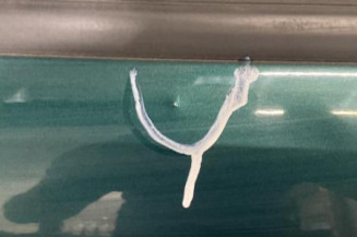 Porte avant droit CITROEN XSARA