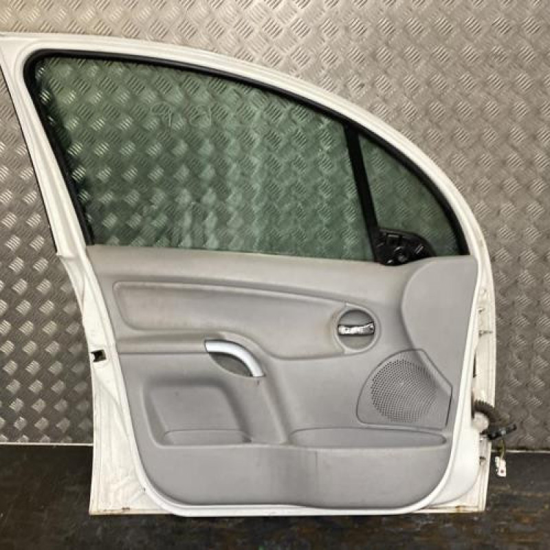 Porte avant gauche CITROEN C3 1 Photo n°4