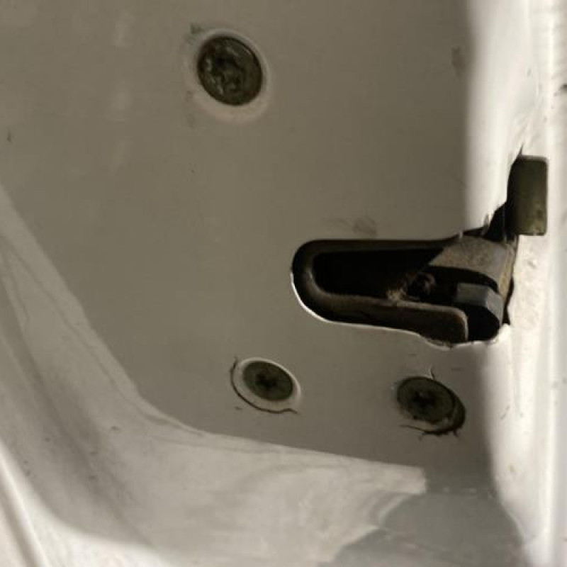 Porte avant gauche CITROEN C3 1 Photo n°6