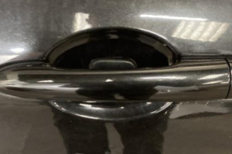 Porte arriere gauche RENAULT LAGUNA 3