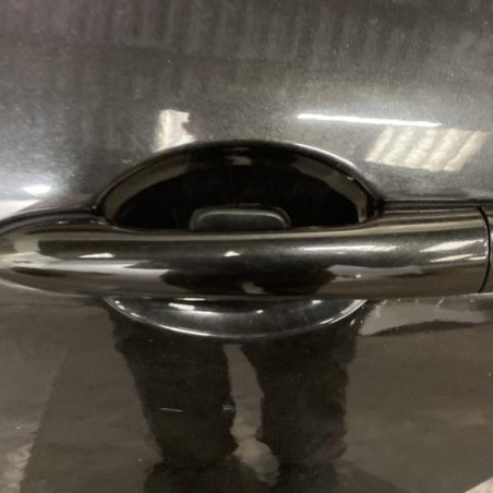 Porte arriere gauche RENAULT LAGUNA 3
