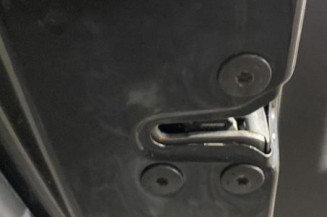 Porte arriere gauche RENAULT LAGUNA 3