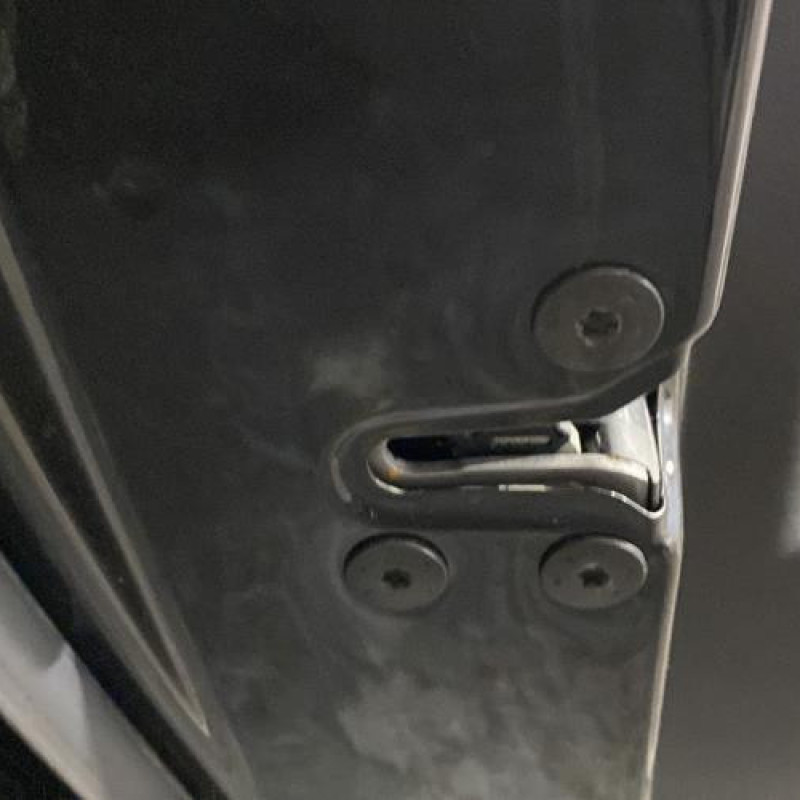Porte arriere gauche RENAULT LAGUNA 3 Photo n°5
