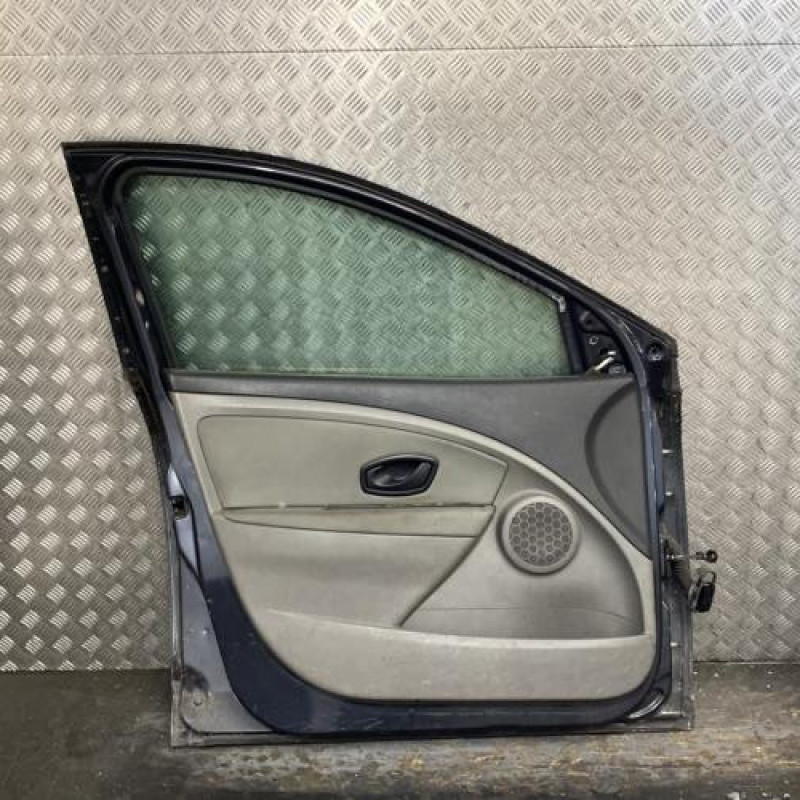 Porte avant gauche RENAULT MEGANE 3 Photo n°3
