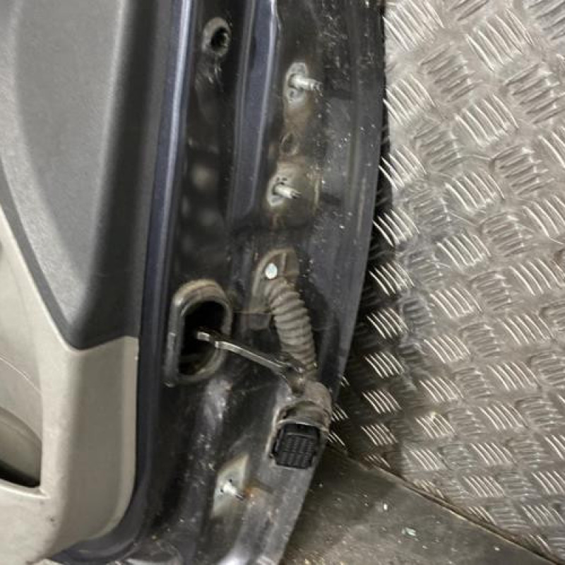 Porte avant gauche RENAULT MEGANE 3 Photo n°4