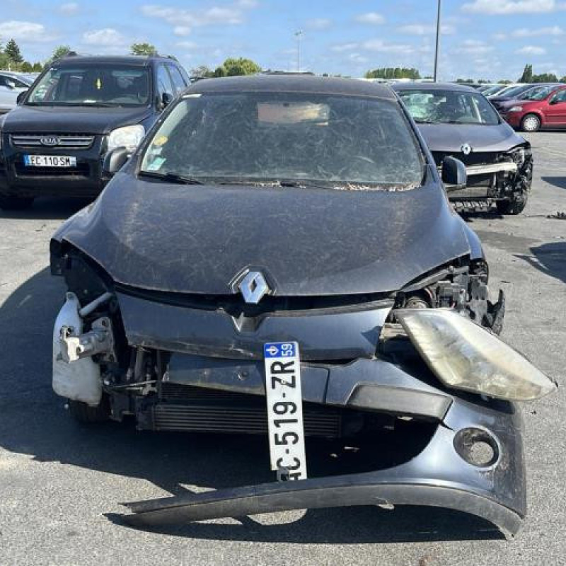 Porte avant gauche RENAULT MEGANE 3 Photo n°6