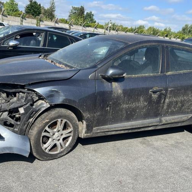 Porte avant gauche RENAULT MEGANE 3 Photo n°7
