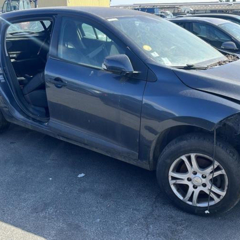 Porte avant gauche RENAULT MEGANE 3 Photo n°8