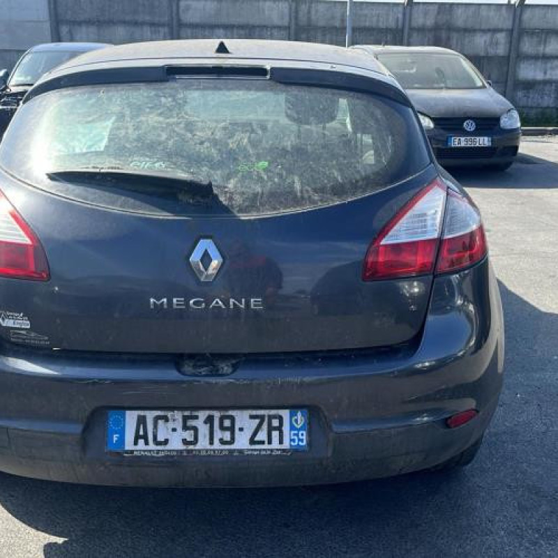 Porte avant gauche RENAULT MEGANE 3 Photo n°9