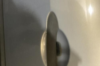 Porte avant gauche RENAULT SCENIC 2