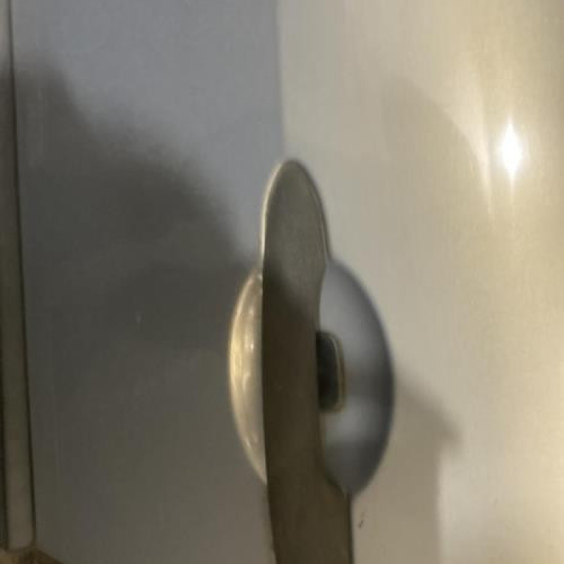 Porte avant gauche RENAULT SCENIC 2 Photo n°2