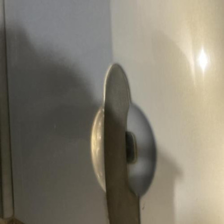 Porte avant gauche RENAULT SCENIC 2