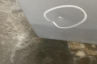 Porte avant gauche RENAULT SCENIC 2