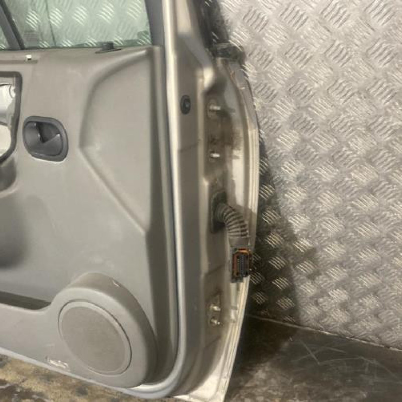 Porte avant gauche RENAULT SCENIC 2 Photo n°5