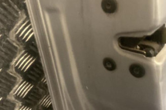 Porte avant gauche RENAULT SCENIC 2