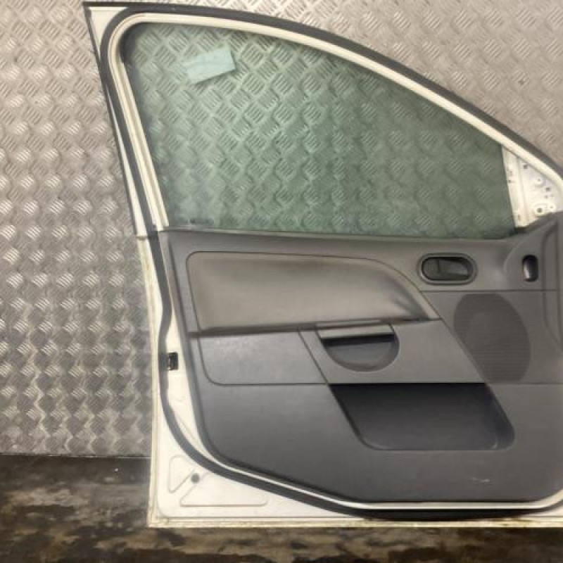 Porte avant gauche FORD FIESTA 5 Photo n°3