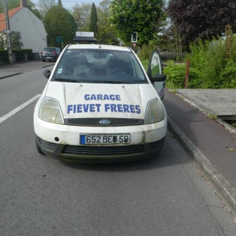 Porte avant gauche FORD FIESTA 5 Photo n°6