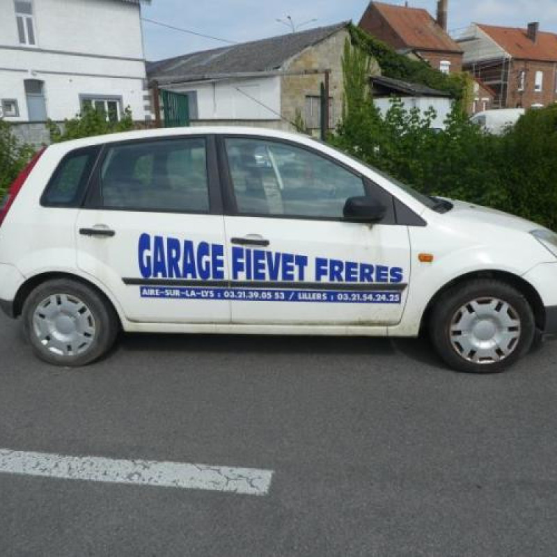 Porte avant gauche FORD FIESTA 5 Photo n°7