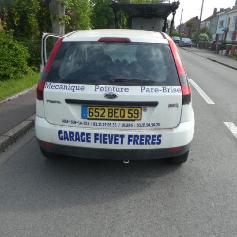 Porte avant gauche FORD FIESTA 5 Photo n°8