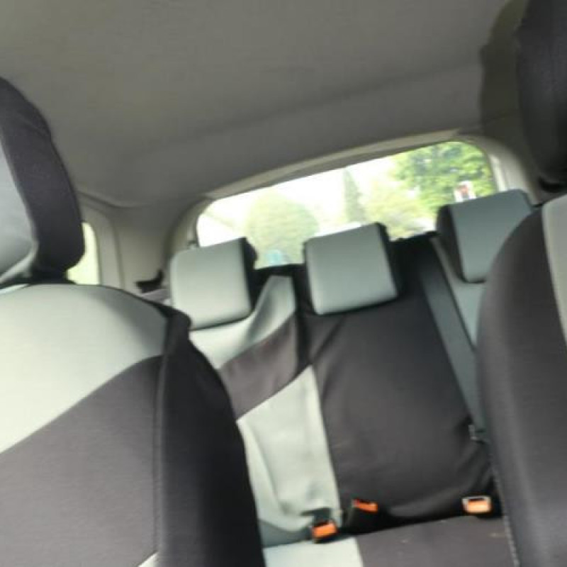 Porte avant gauche FORD FIESTA 5 Photo n°13