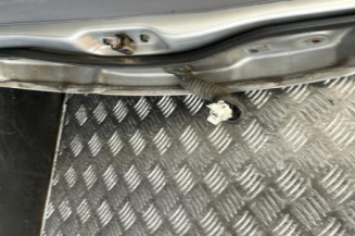 Porte arriere gauche KIA CARENS 2