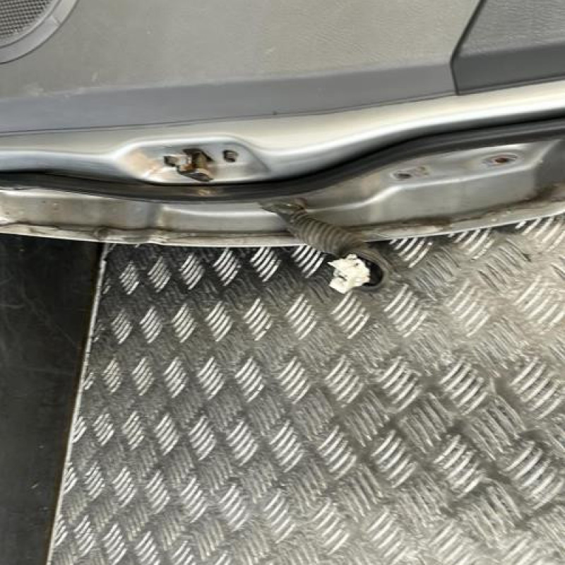 Porte arriere gauche KIA CARENS 2 Photo n°6