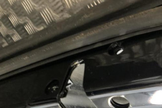 Porte arriere gauche VOLKSWAGEN PHAETON