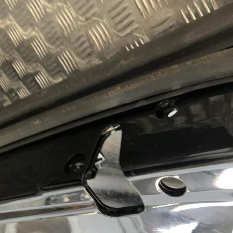 Porte arriere gauche VOLKSWAGEN PHAETON Photo n°4