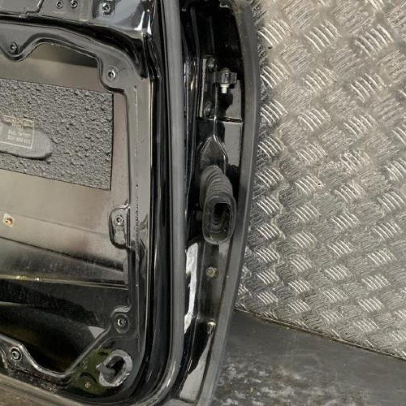 Porte arriere gauche VOLKSWAGEN PHAETON Photo n°5