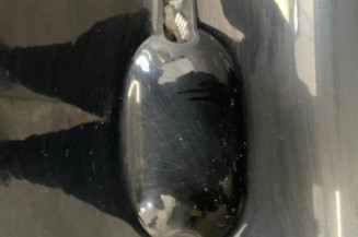 Porte avant gauche VOLKSWAGEN PHAETON