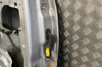 Porte arriere gauche RENAULT VEL SATIS